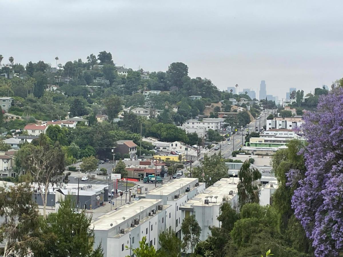 The Hollywood Dream Leilighet Los Angeles Eksteriør bilde